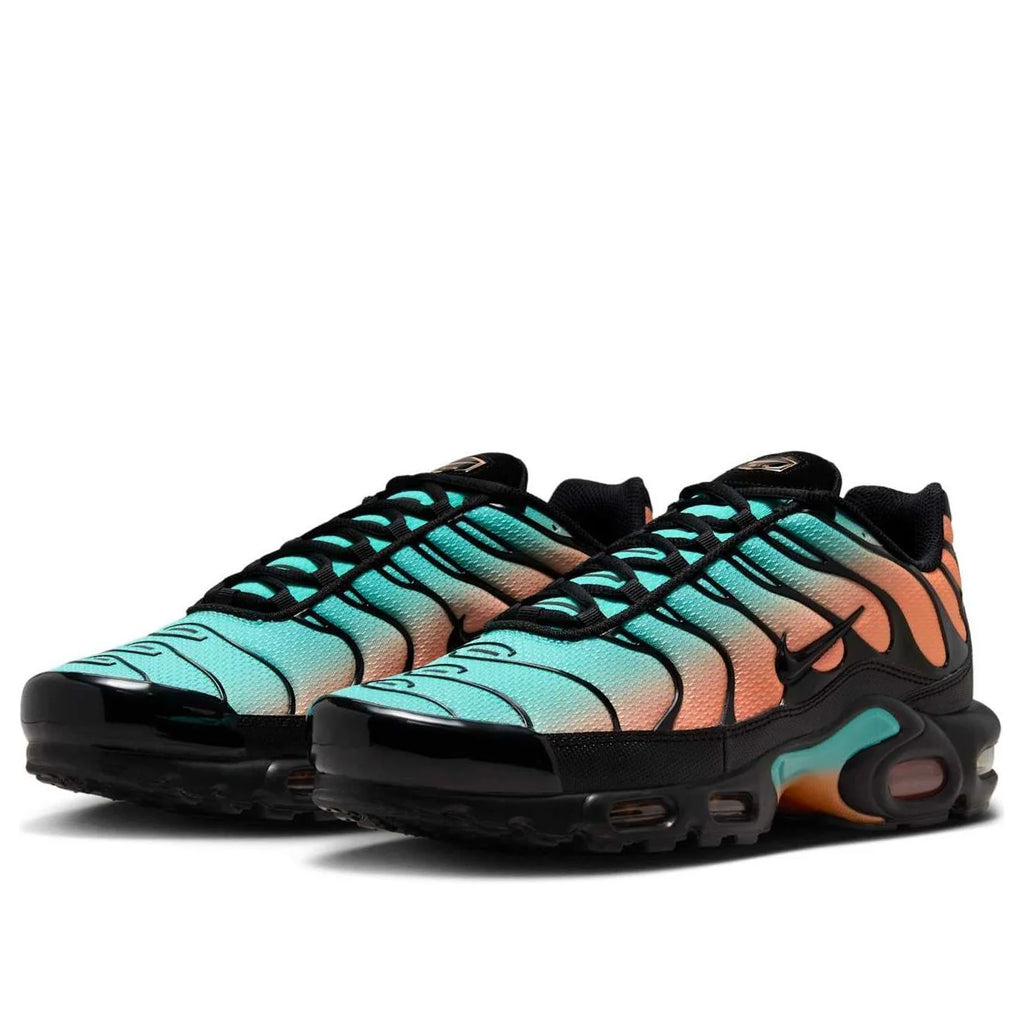 Nike Air Max TN Aurora