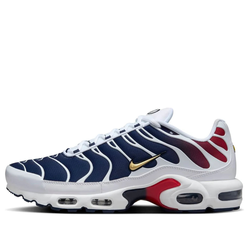 Nike Air Max Plus 'PSG'