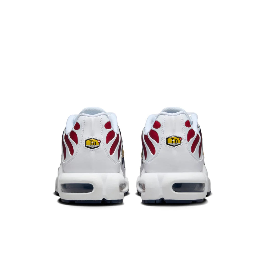Nike Air Max Plus 'PSG'